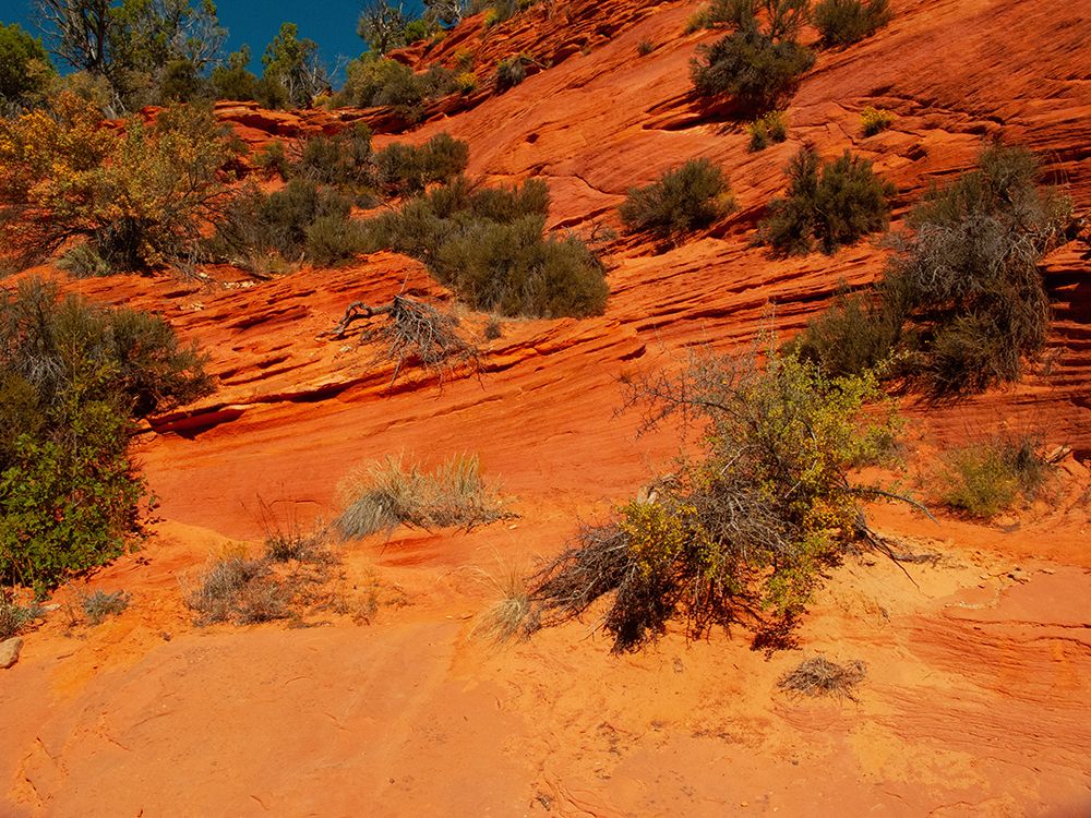 USA, Utah, Kanab, Peekaboo Canyon Entrance